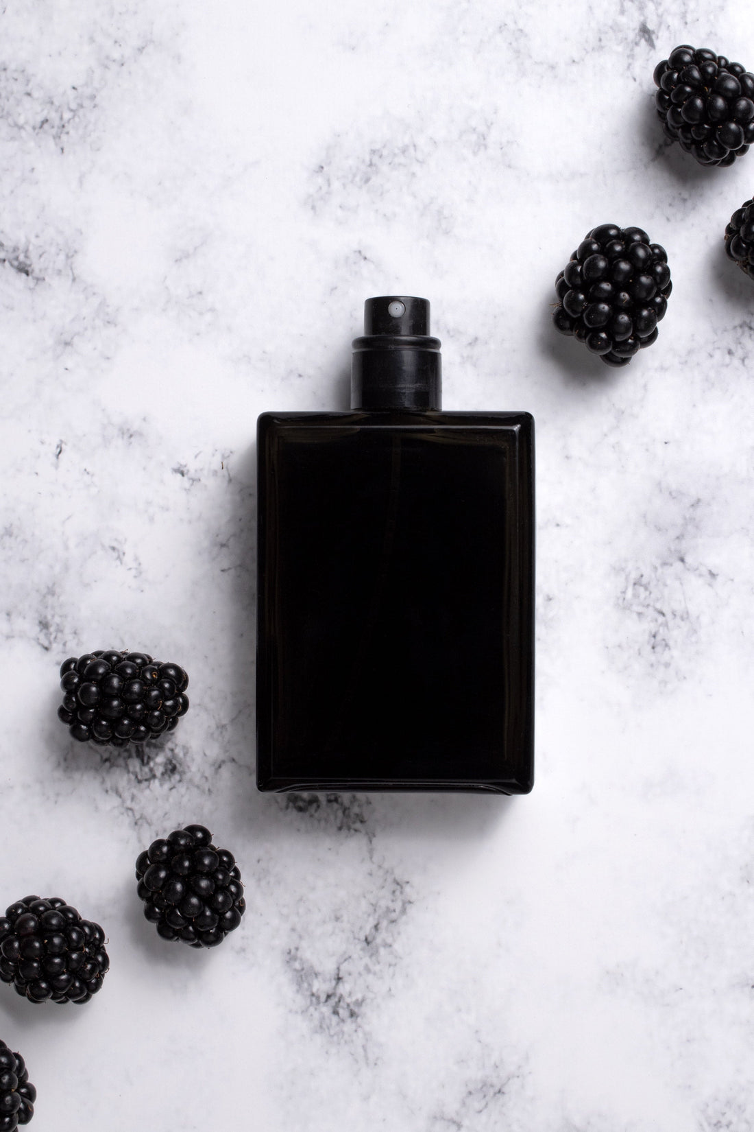 Discover The Sensational Scents Of Paul Smith Perfumes - Rio Perfumes