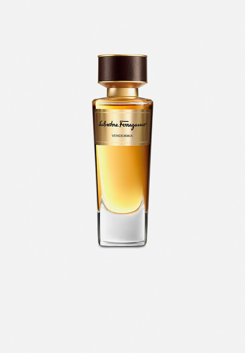 A clear glass bottle of Salvatore Ferragamo Tuscan Creations Terra Rossa 100ml EDP with amber liquid and a gold-brown cap stands against a white background, highlighting this woody, spicy, leather fragrance.