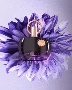 Afnan Supremacy Purple 100ml EDP - Rio Perfumes