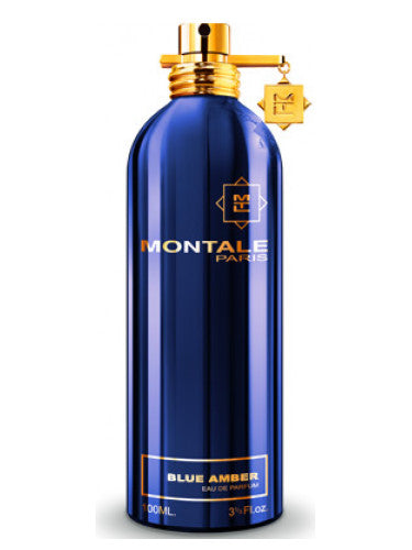 Montale Paris Blue Amber 100ml Eau De Parfum, a fragrance for Men & Women.