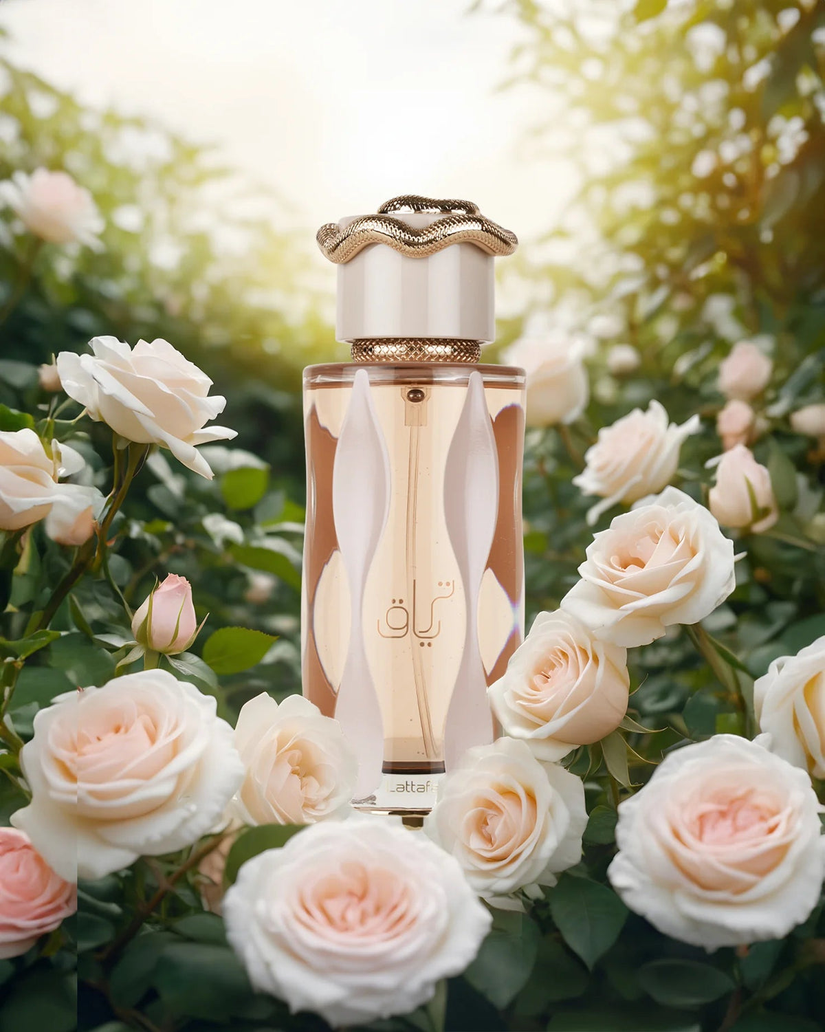 Lattafa Teriaq 100ml Eau De Parfum - Rio Perfumes