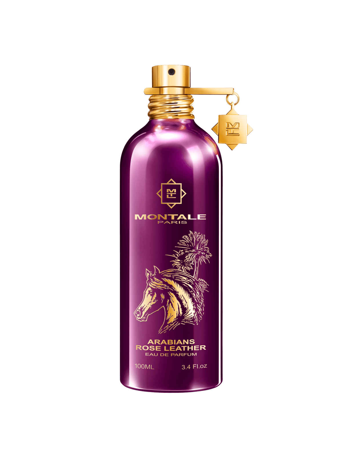 Montale Paris Arabians Rose Leather 100ml EDP - Rio Perfumes