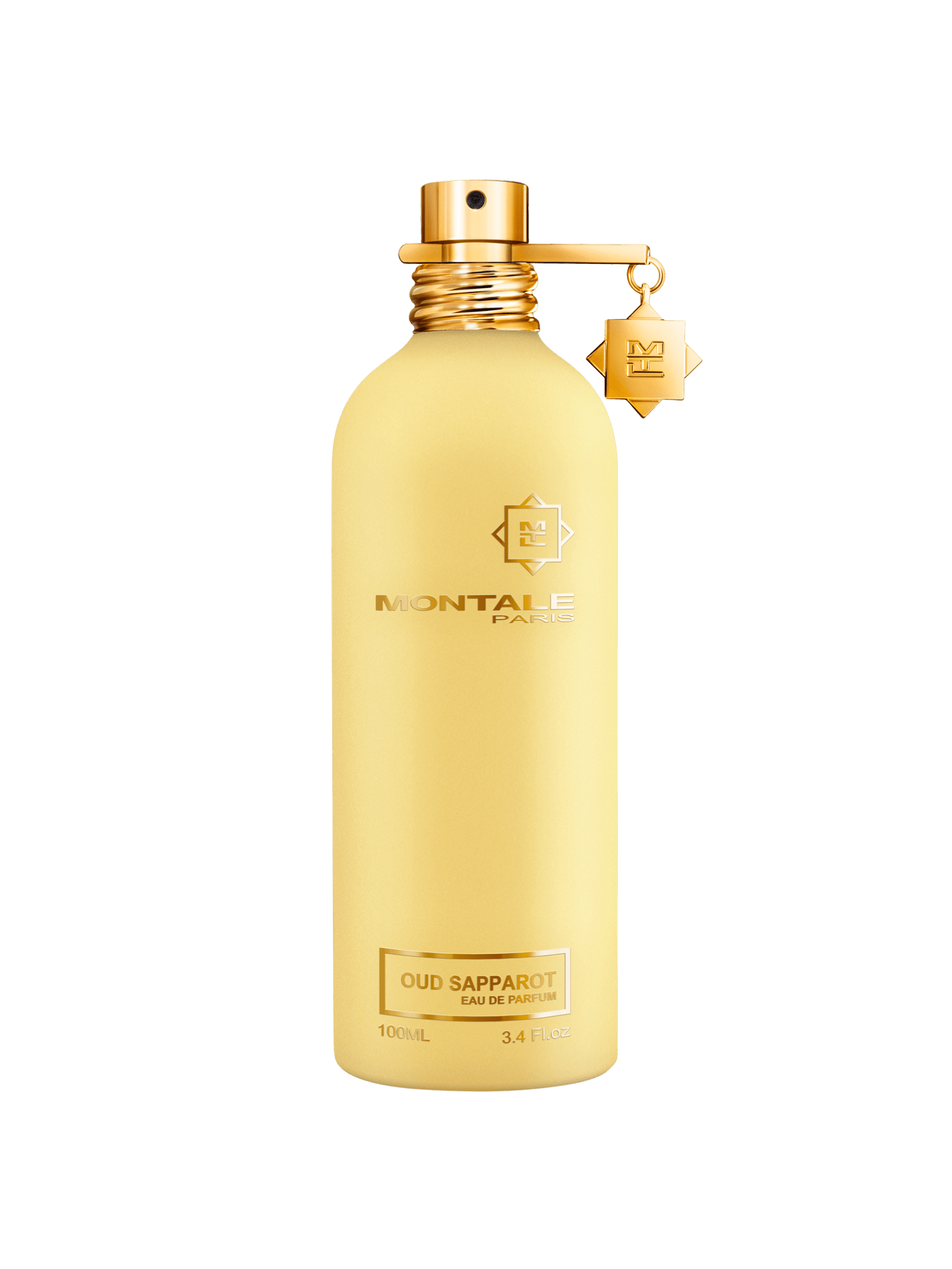 Montale Paris Oud Sapparot 100ml EDP - Rio Perfumes
