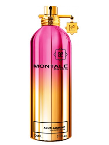 A 100ml bottle of Montale Paris Aoud Jasmine Eau De Parfum for women sold by Rio Perfumes.