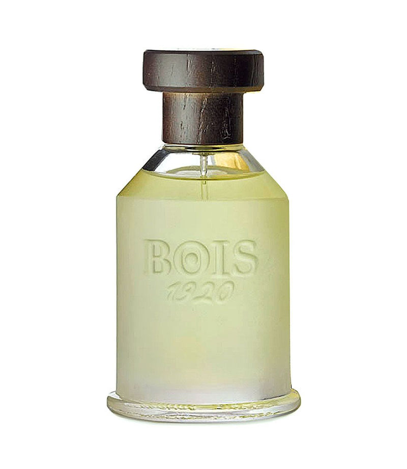 Load image into Gallery viewer, A fragrance bottle of Bois 1920 Classic 1920 100ml Eau De Toilette by Bois 1920 on a white background.
