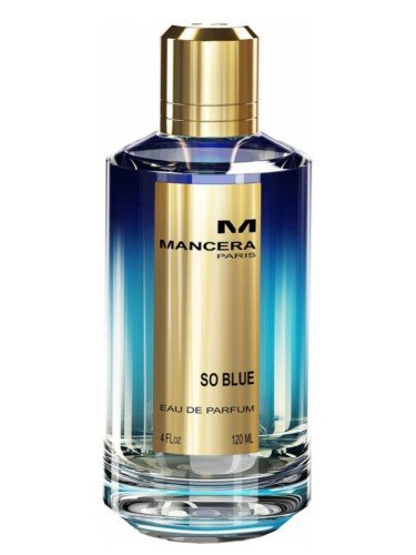 Mancera So Blue 120ml EDP - Rio Perfumes