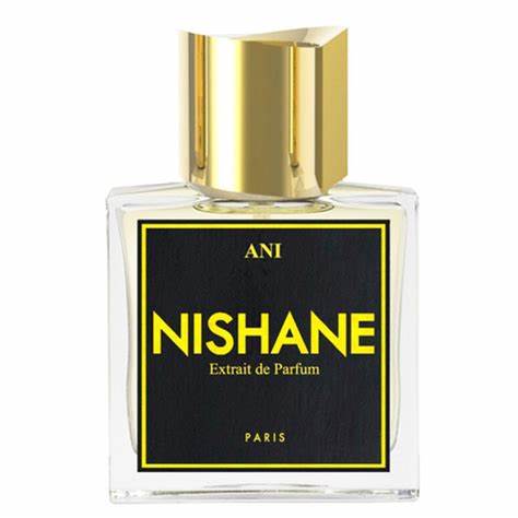 A bottle of Nishane Ani 100ml Eau De Parfum with a captivating Amber Floral fragrance, suitable for both men and women, displayed on a pristine white background.