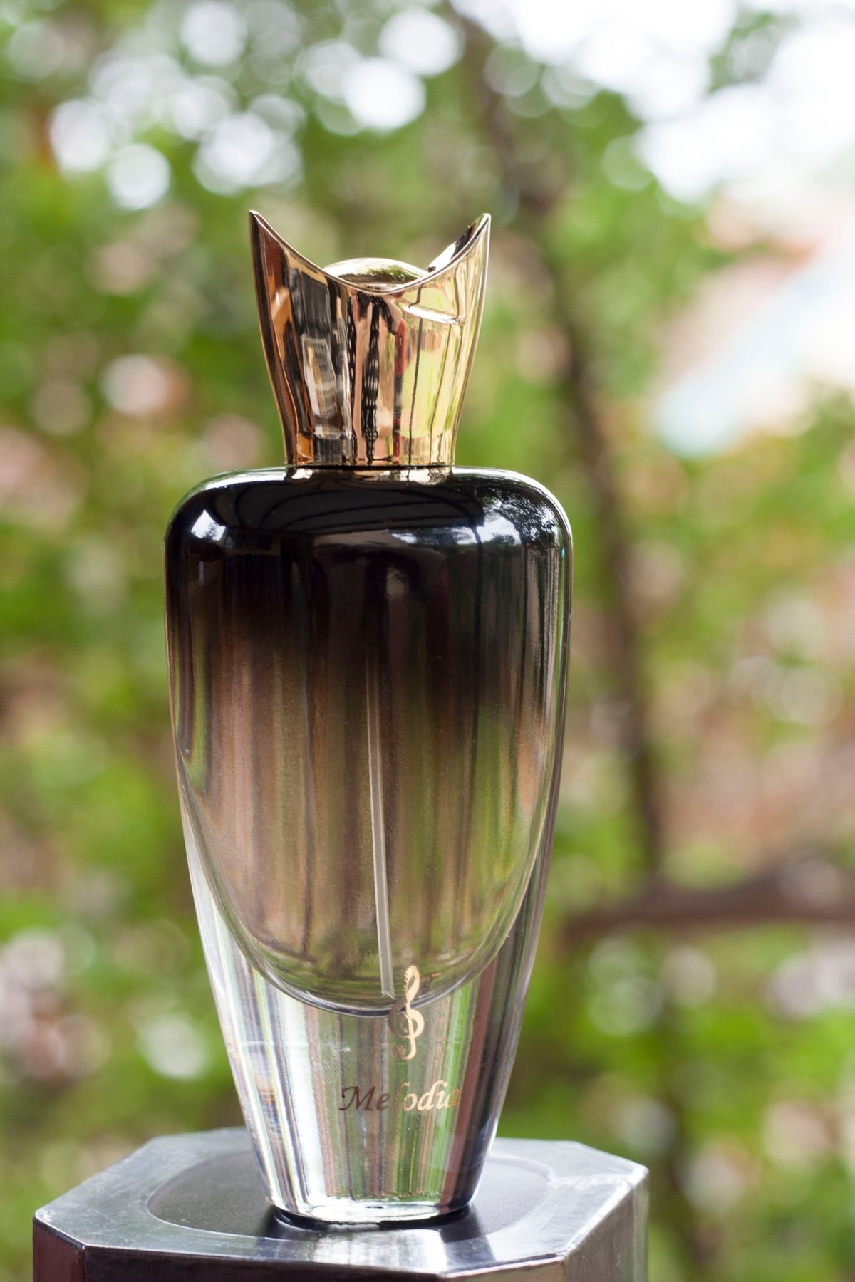Paris Corner Melodia 90ml Eau De Parfum - Rio Perfumes