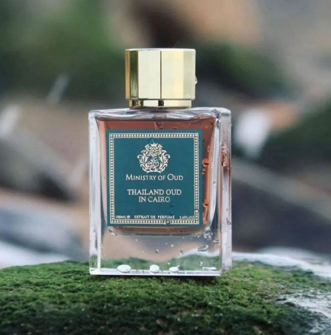 Load image into Gallery viewer, A bottle of Paris Corner Ministry of Oud Thailand Oud in Cairo 100ml Extrait de Perfume, infused with the essence of Oud, sitting on top of moss.
